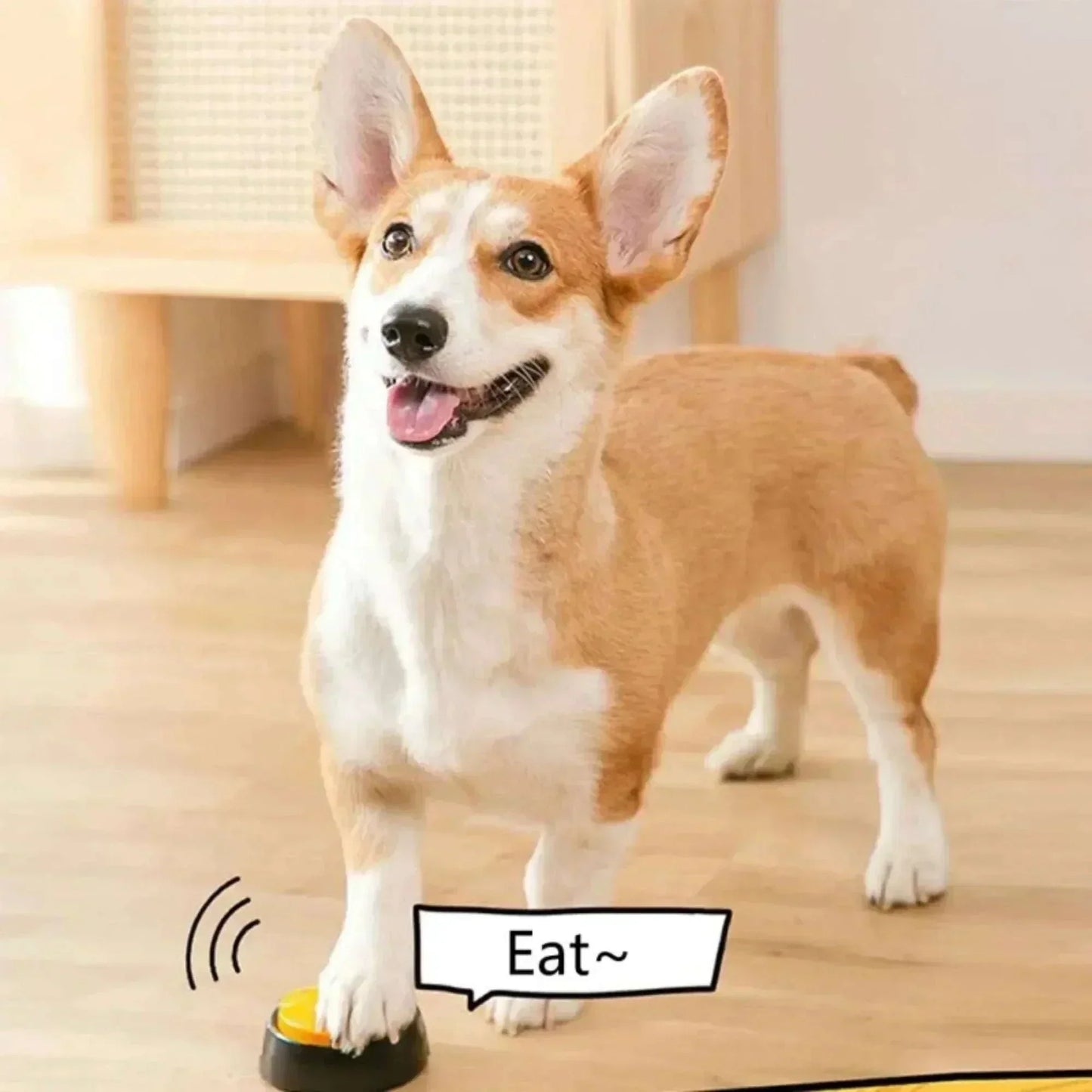 Dog standing on yellow voice recording button for pet training with "Eat" text.