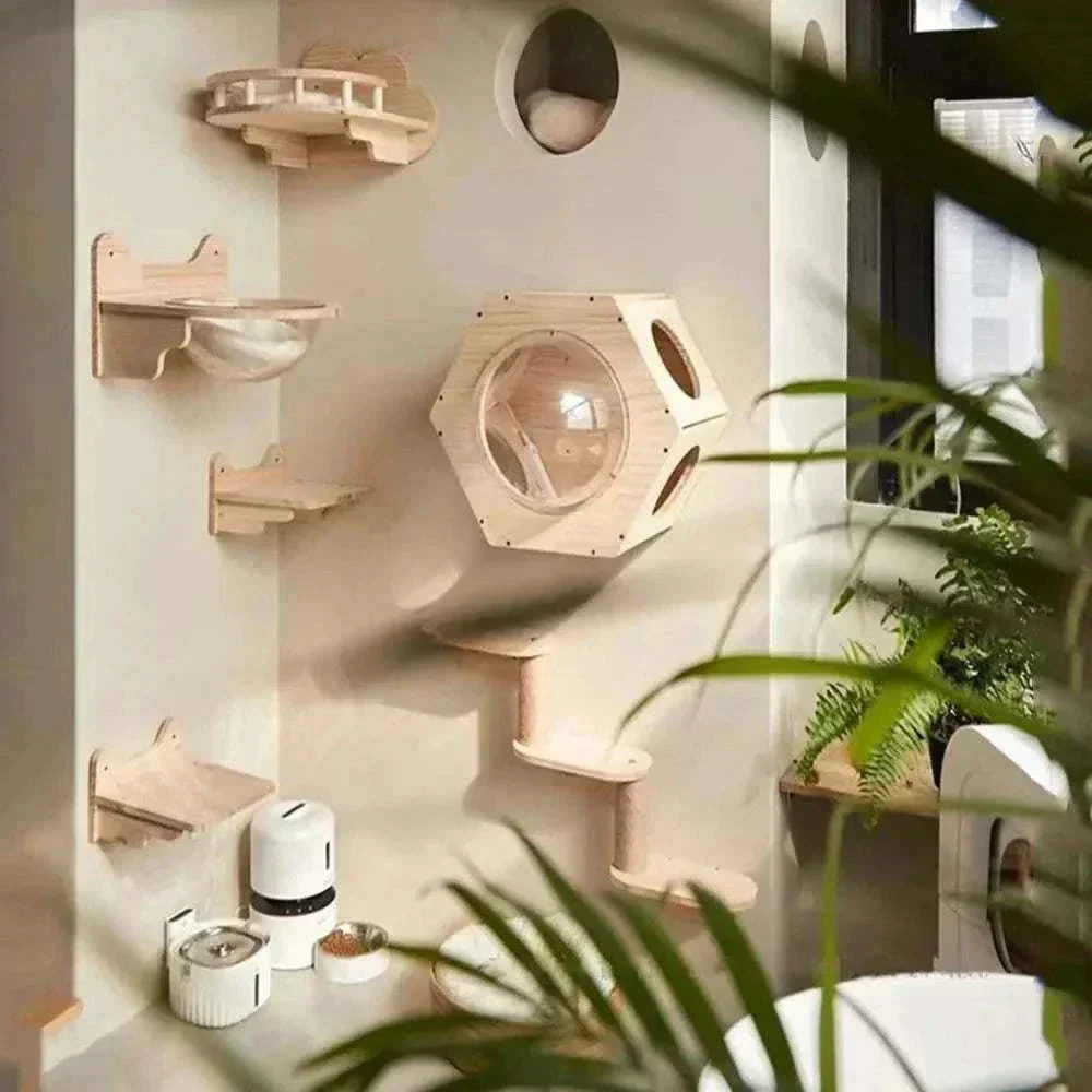Wall-mounted cat furniture set with wooden shelves, perches, and activity structures.