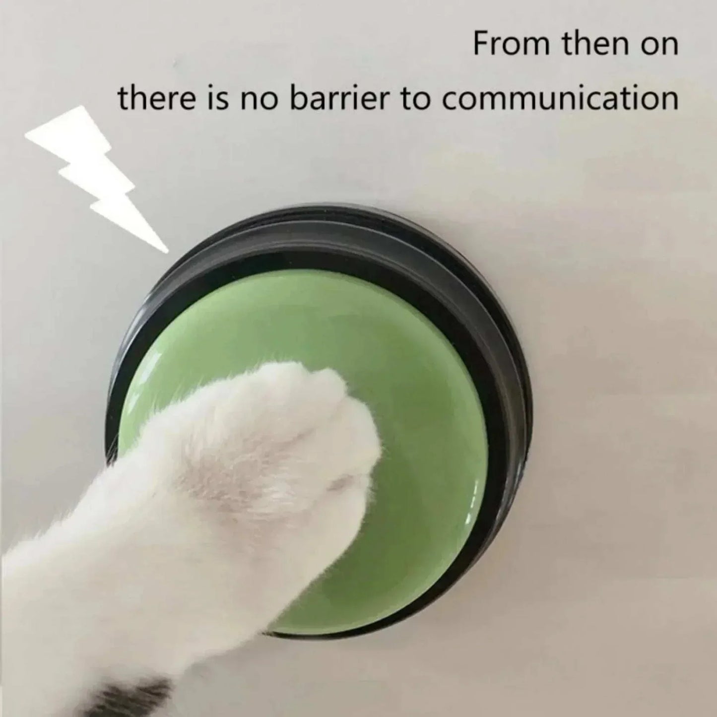 Pet paw pressing green voice recording button for training.