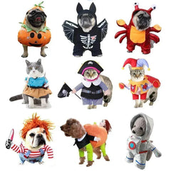 Funny Halloween pet cosplay costumes featuring dogs and cats dressed as pumpkins, skeletons, crabs, pirates, jesters, and astronauts.