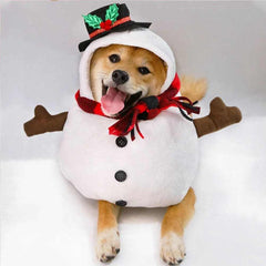 Dog wearing Halloween pet clothes in funny snowman cosplay costume.