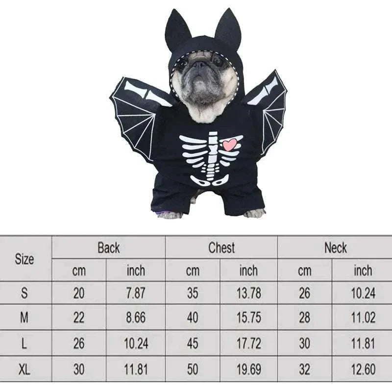 Funny pet dressed in a skeleton-themed Halloween cosplay costume with bat wings, sitting in front of a size chart.