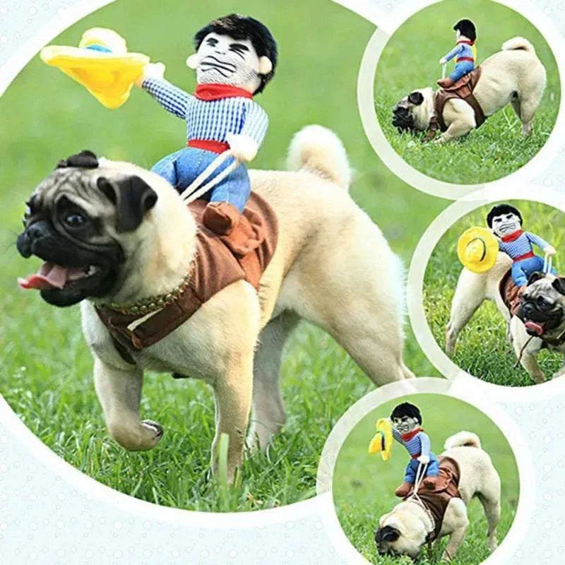 Pug wearing a funny rider costume for Halloween pet cosplay.