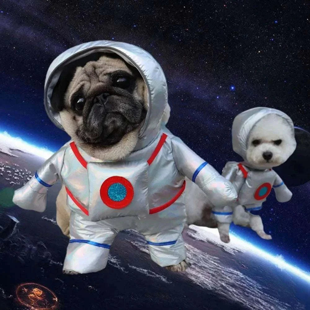 Dogs dressed in space-themed Halloween pet clothes for funny pet cosplay.