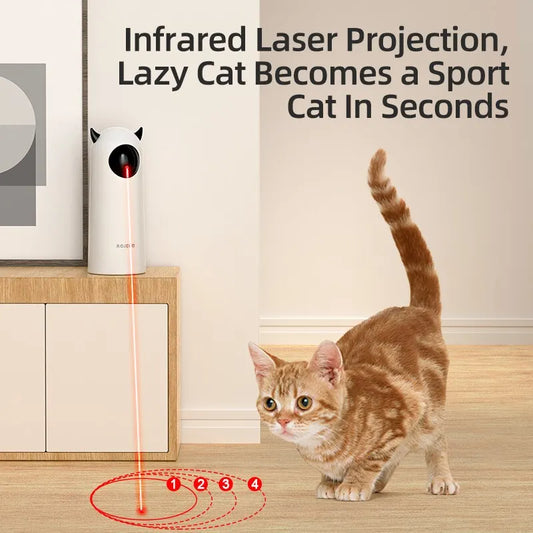 Meow n' Woof Supplies: ROJECO Interactive LED Laser Pet Toy