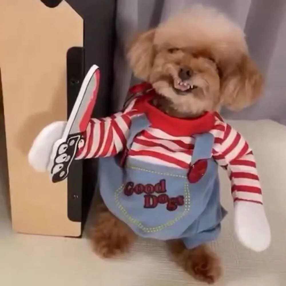 Cute dog wearing funny Halloween pet costume with striped shirt and overalls.