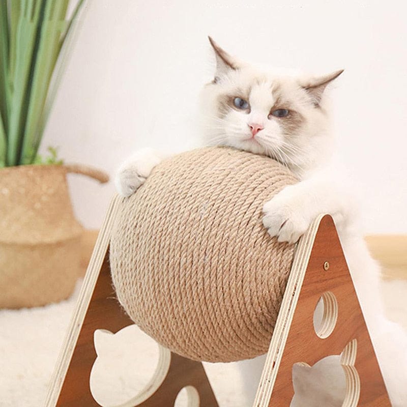 Cat playing with a sisal rope ball scratcher on a wooden stand.