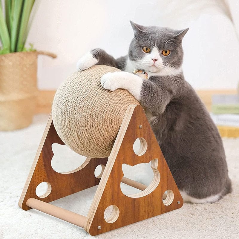 Cat sitting with Cat Scratcher Sisal Rope Ball on a wooden base.