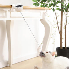 Electric Motion Cat Teaser Ball Toy clipped to table with cat playing.