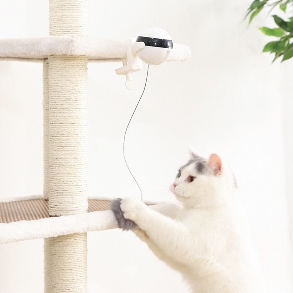 Electric Motion Cat Toy Cat Teaser Ball Toy on cat tree with white cat playing.